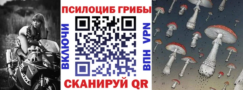магазин Нижние Серги Псилоцибиновые грибы прущие грибы